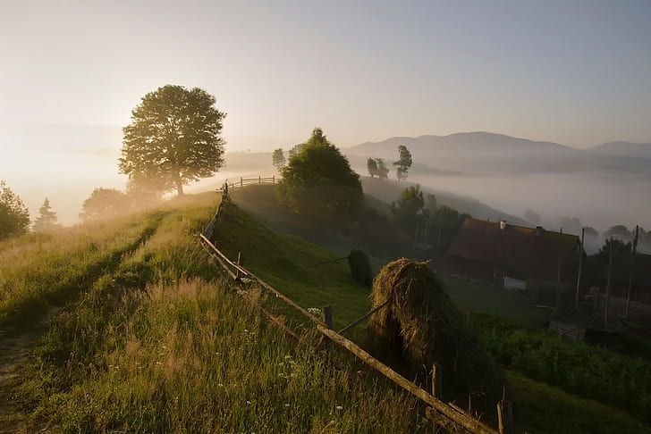 Carpathian mountains, the village, the morning mist, summer, HD wallpaper