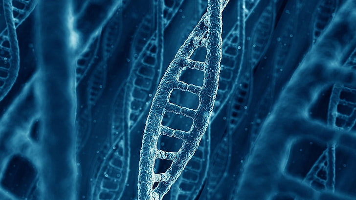 blue, genetics, turquoise, electric blue, dna, biology, macro photography