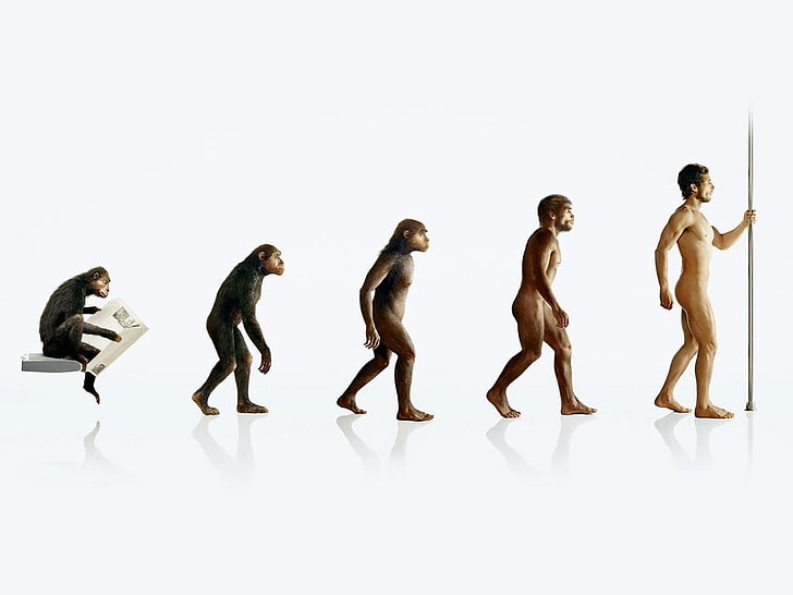 human evolution illustration, humor, white background, studio shot