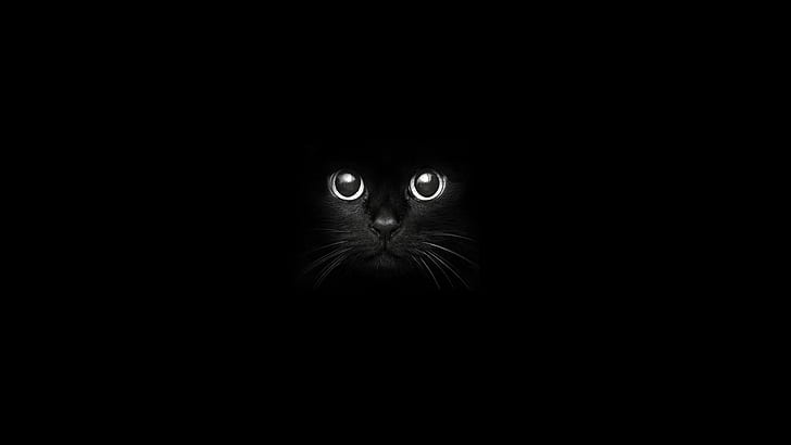 night, animals, black cats, eyes, nightmare, HD wallpaper
