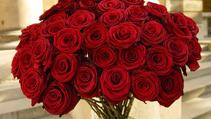 Beautiful Red Roses Flowers, Bouquet, bouquet of red roses, HD wallpaper