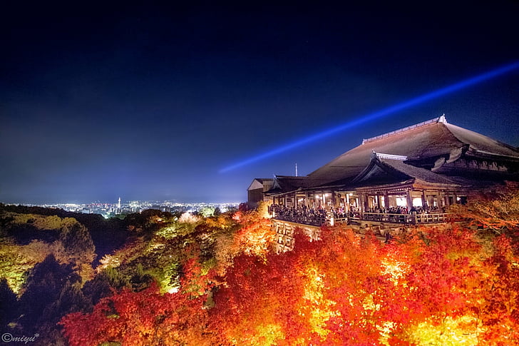 Temples, Illumination, Japan, Kiyomizu-Dera, Kyoto, Night, HD wallpaper