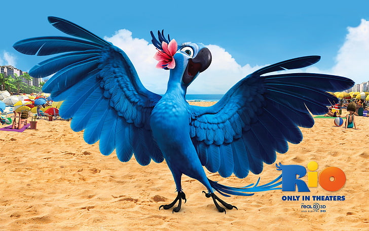 HD wallpaper: Rio movie advertisement, birds, cartoons, angry birds, animal  | Wallpaper Flare