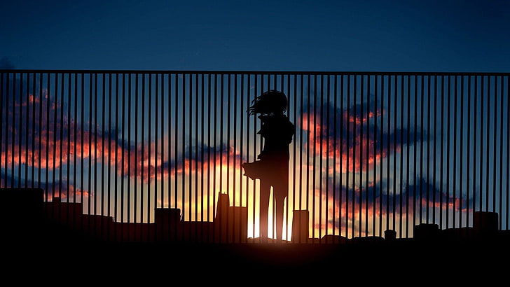 silhouette of woman illustration, anime, artwork, sunset, anime girls, HD wallpaper