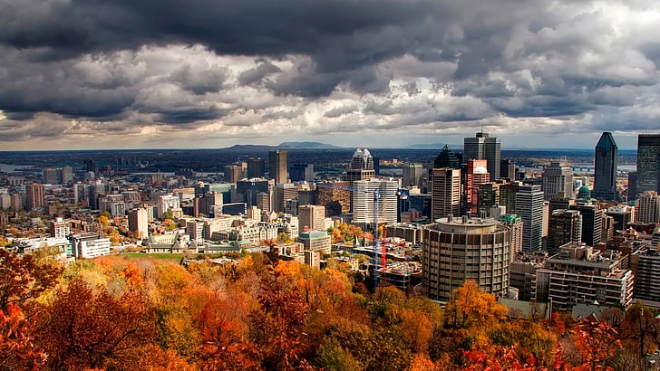 city buildings, panorama, sky, autumn, view from above, urban Skyline, HD wallpaper