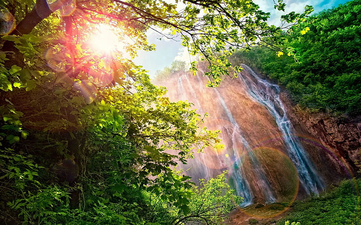 forest, waterfall, sunlight, nature, landscape, trees, branch, HD wallpaper