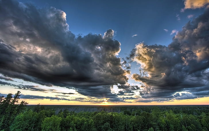 sky, clouds, forest, trees, sunset, nature, landscape
