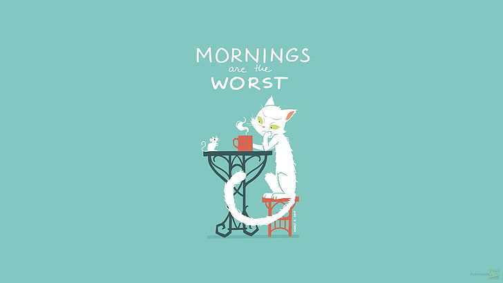 white cat illustration, morning, minimalism, copy space, colored background, HD wallpaper
