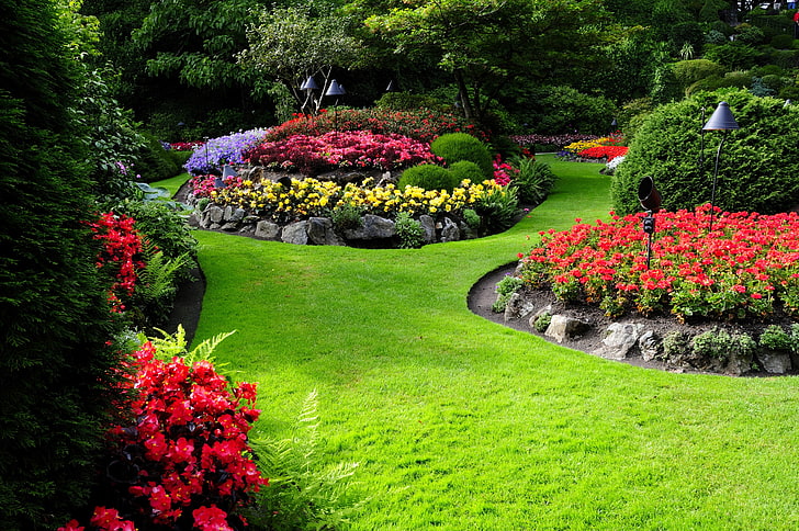 nature, flowers, garden, landscape, plant, flowering plant, HD wallpaper