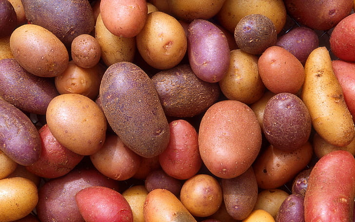 Potatoes, fruits and vegetables, photography, 2560x1600, HD wallpaper