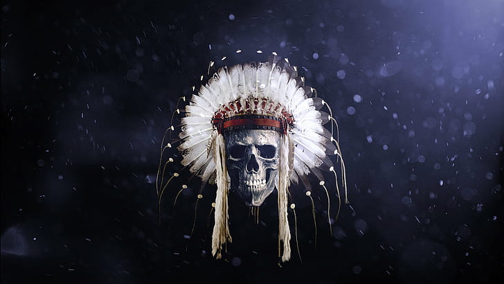 feathers skull native american clothing headband, nature, animal wildlife, HD wallpaper