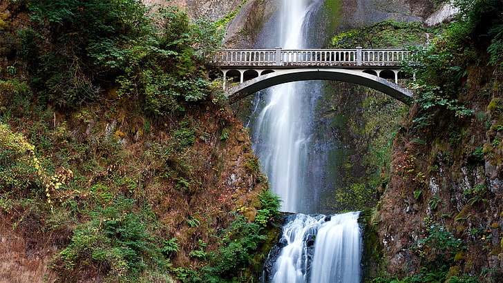 waterfalls, Multnomah Falls, plant, tree, motion, long exposure