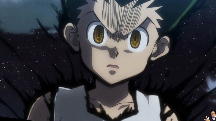 Here is 10 high quality photos of adult gon in the comments   rHunterXHunter