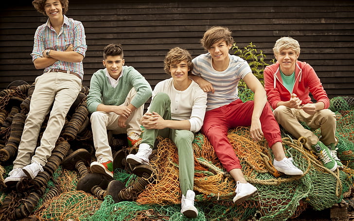 One Direction Poster, HD wallpaper