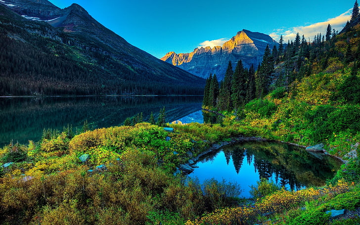 calm body of water surrounded with trees and mountains, landscape