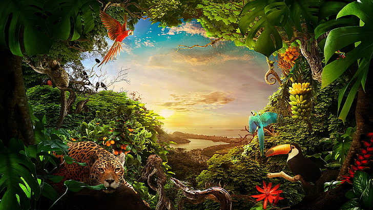 HD wallpaper: Brazil, 4K, Birds, Nature, Forest, Animals | Wallpaper Flare