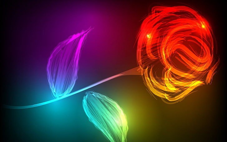 rose  desktop  download, motion, illuminated, nature, purple, HD wallpaper