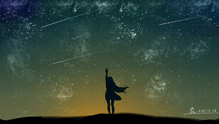 silhouette of woman under meteor rain illustration, women, digital art