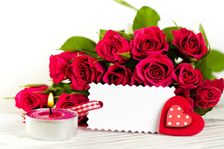 HD wallpaper: pink roses, red, love, flower, nature, heart, flowers,  beautiful | Wallpaper Flare