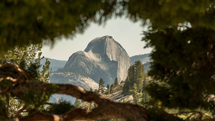Half Dome, Yosemite National Park, nature, landscape