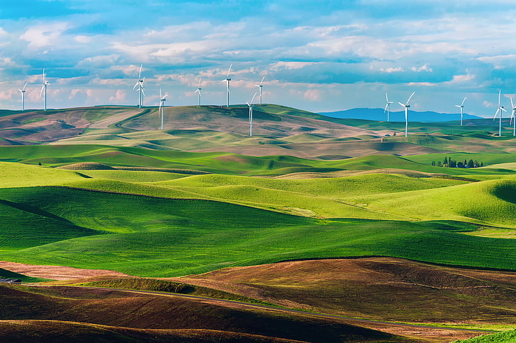 field, Washington, USA, state, Wind turbines, wind farms