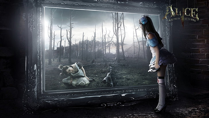HD wallpaper: Alice poster, Video Game, Alice: Madness Returns | Wallpaper  Flare