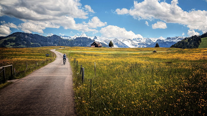 grass, bicycle, cyclist, 5k, 5k uhd, 5k ultrahd, wildflower, HD wallpaper