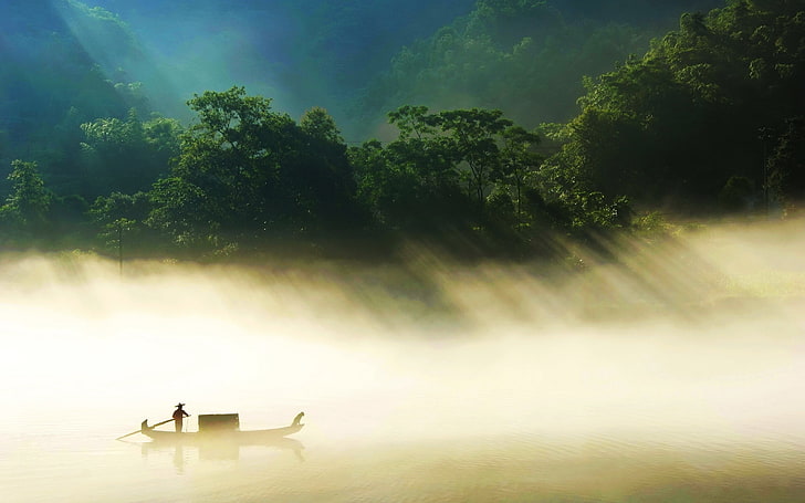 silhouette of man rowing his boat during daytime, forest, mist, HD wallpaper