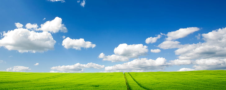 Pure Nature Dual Monitor, cloud - sky, environment, grass, landscape