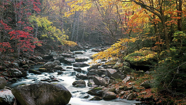 Little River, Tremont, Great Smoky Mountains National Park, Tennessee., HD wallpaper