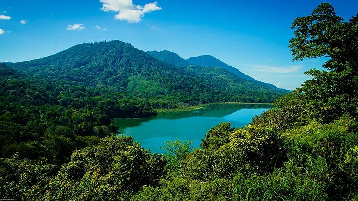 green leafed trees, forest, mountains, lake, Bali, Indonesia
