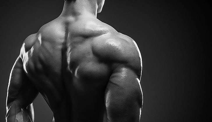 bodybuilder, muscle mass, back muscles, HD wallpaper