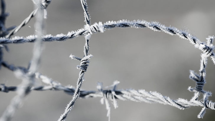 gray barbwire, shallow focus photography of rope, closeup, barbed wire