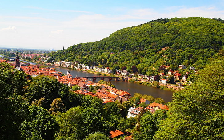 nature, Neckar River, Germany, cityscape, landscape, tree, water