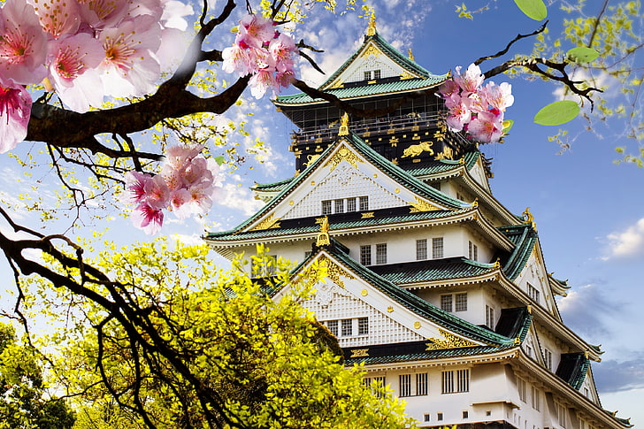 Japan, architecture, cherry blossom, Osaka Castle, tree, plant, HD wallpaper