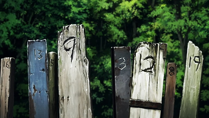 Zankyou no Terror, wood - material, no people, plant, day, focus on foreground