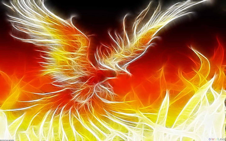 2360x1640px Free Download Hd Wallpaper Yellow And Red Bird Illustration Fantasy Animals Phoenix Motion Wallpaper Flare