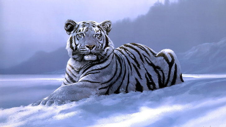 animals, tiger, artwork, white tigers, animal wildlife, animal themes, HD wallpaper