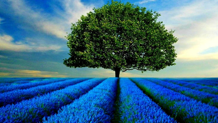STANDING ALONE, green leaf tree surrounded blue petal flower field painting