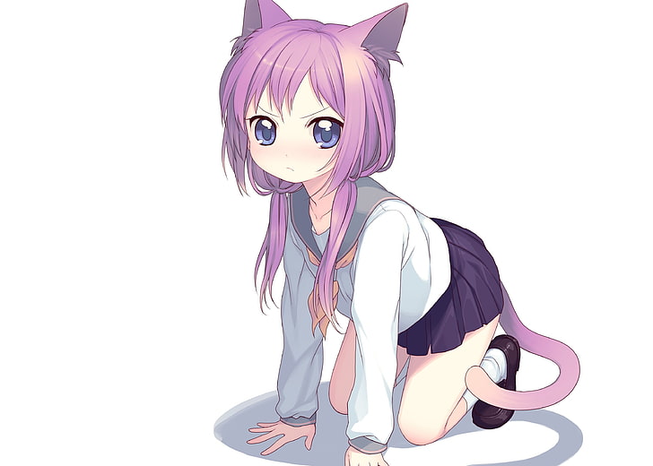 cat girl, anime girls, nekomimi, animal ears, white background
