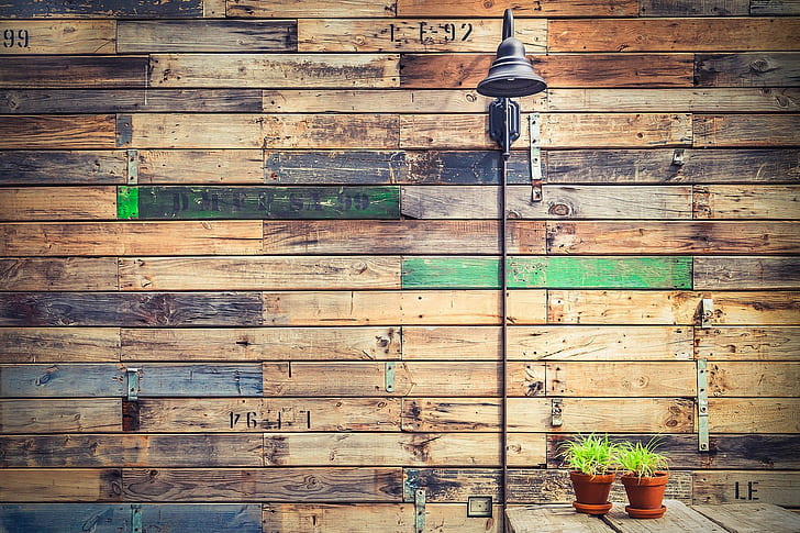 wood, plants, HD wallpaper