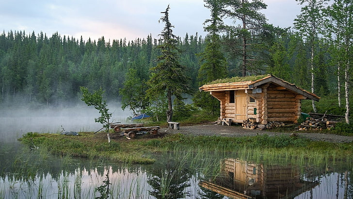 hut, forest lake, house, wood, plant, shack, home, log cabin