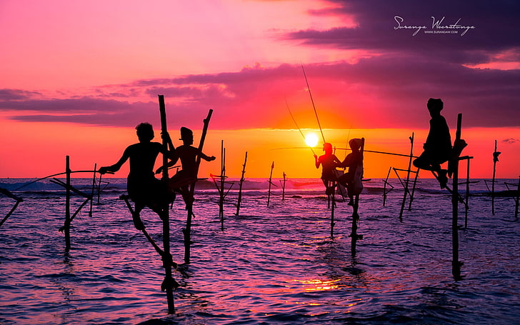 Beach Fishing-Sri Lanka Win8 wallpaper, five person sitting on stick near body of water