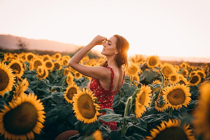 field, dress, women, sunflowers, flares, flowering plant, one person, HD wallpaper