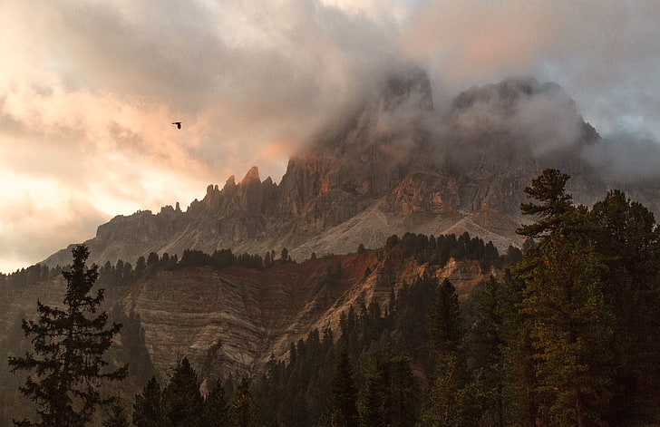 brown mountain range near forest, mountains, mist, clouds, daylight, HD wallpaper