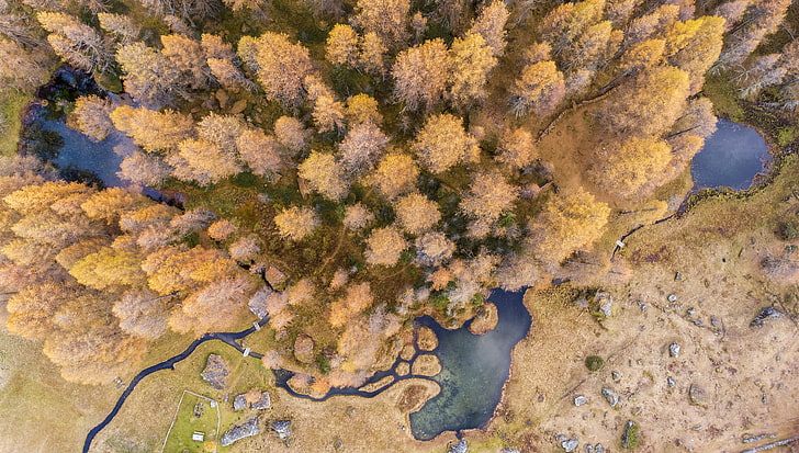 aerial view, nature, trees, day, water, plant, no people, high angle view, HD wallpaper