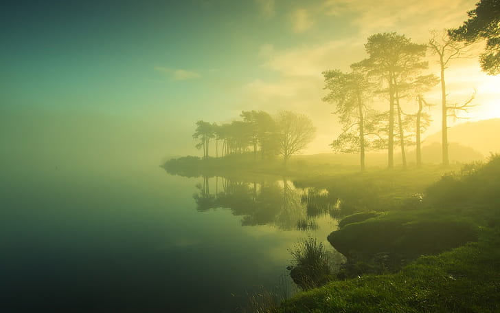Beautiful dawn scenery, trees, lake, mist, sunrise, blurry, HD wallpaper
