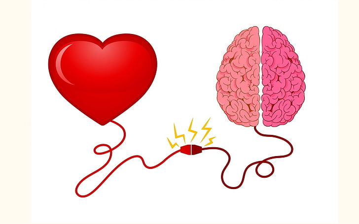 Connection, vector, brain, heart, positive emotion, love, heart shape, HD wallpaper