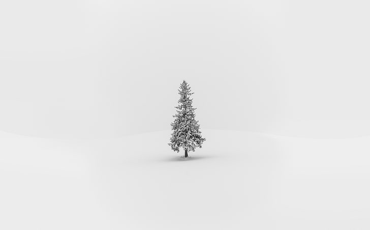 Caught in the Middle, Seasons, Winter, White, Black, Tree, Christmas, HD wallpaper