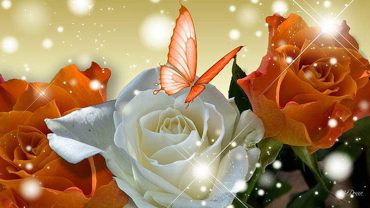 Orange Rose On High, orange-white roses, spring, butterfly, glow, HD wallpaper